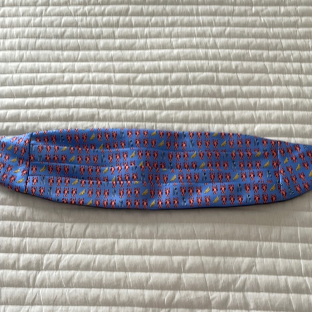 Peter Blair Blue and Red Patterned Tuxedo Cummerbund